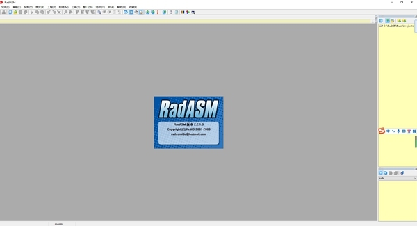 RadASM软件截图1