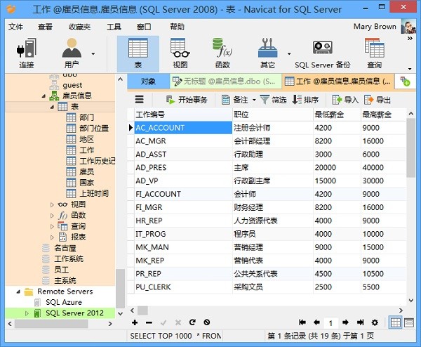 Navicat for SQL Server图