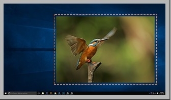 TweakShot Screen Capture (视频录制软件)官方电脑版v1.0.0.100下载插图