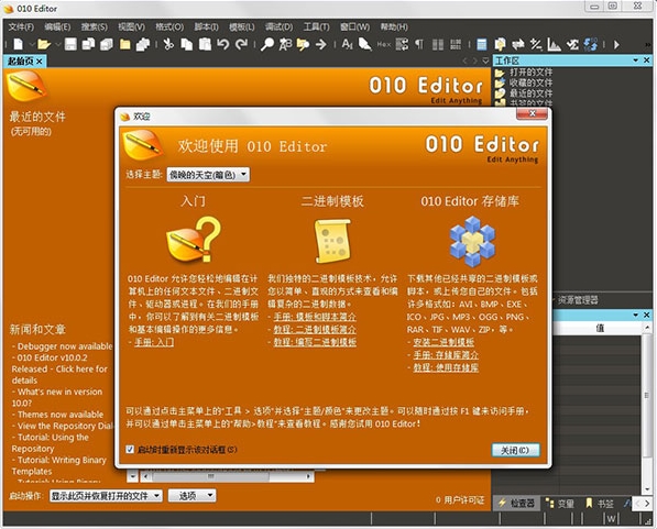 010editor中文补丁|010editor汉化包 64位版v10.0下载插图1