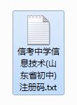 中学信息技术考试练习系统高中版图片