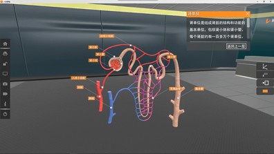 矩道初中生物VR3D虚拟仿真实验室3