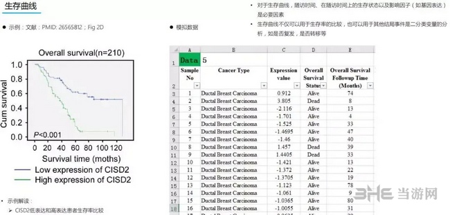 Graphpad Prism作图教程图片28