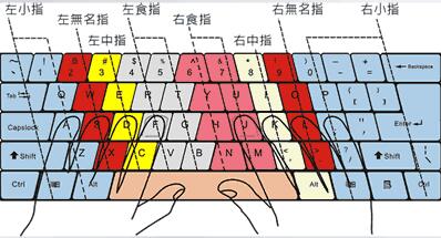 A4tech双飞燕打字王图