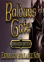 博德之门：增强版图标