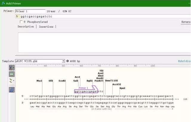 snapgene设计引物方法图片1