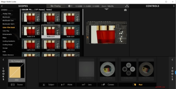 Magic Bullet Looks图片1