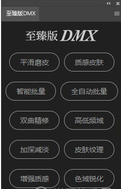 至臻版DMX图片1