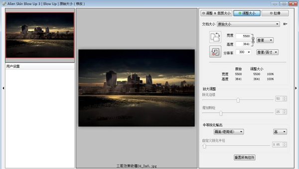 Alien Skin Blow Up 3图片1