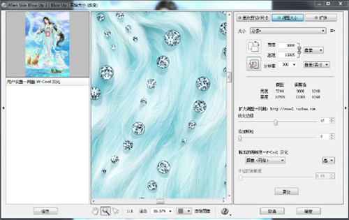 Alien Skin Blow Up 3图片2