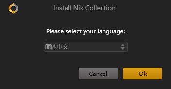 Nik Collection2021图片3