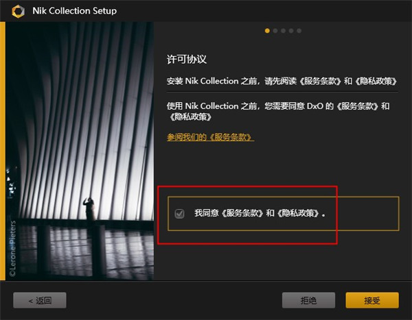 Nik Collection2021图片4