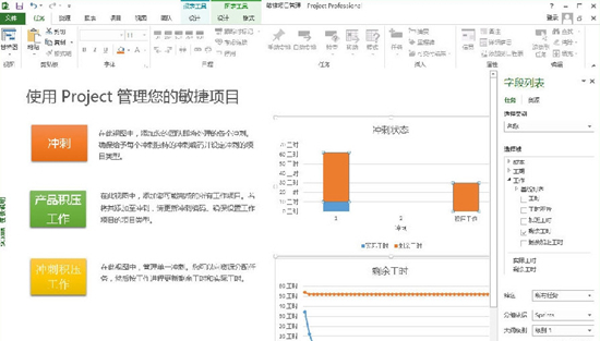 project2010中文版图片