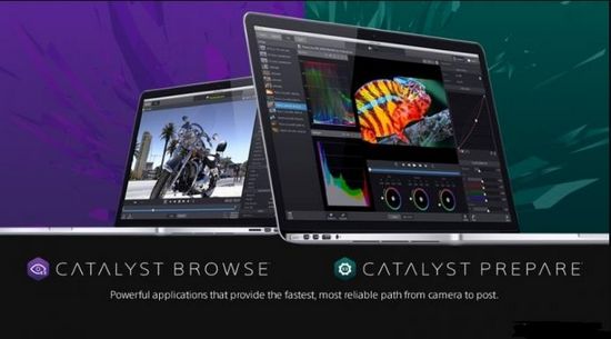 Sony Catalyst Prepare图片