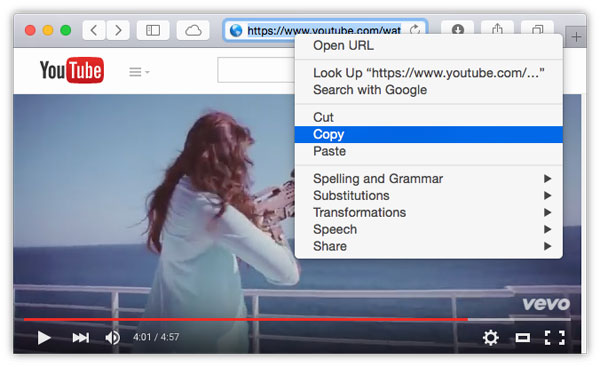 MediaHuman YouTube To MP3 Converter破解版 免费版v3.9.9.53下载插图3