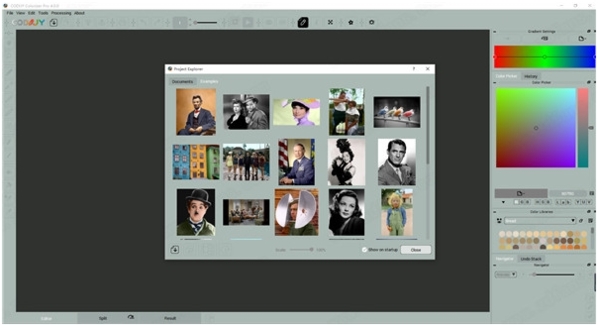 CODIJY Colorizer Pro图片1