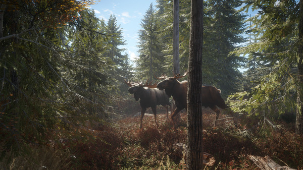 猎人：野性的呼唤游戏截图
