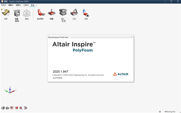Altair Inspire PolyFoam图片1