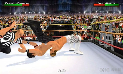 摔跤革命3D电脑版下载|摔跤革命3D电脑版 (Wrestling Revolution 3D)安卓解锁完整版v1.530下载