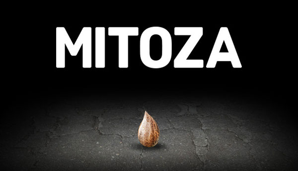 Mitoza游戏|种 (Mitoza)PC破解版 即将上市插图