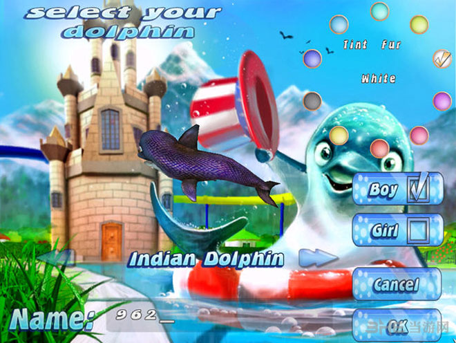 虚拟水族宠物：海豚下载|虚拟水族宠物：海豚 (101 Dolphin Pets)完整硬盘版下载