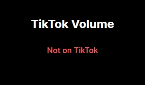 TikTok Volume Buddy图片2
