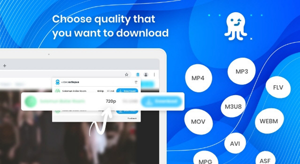 浏览器网页视频下载插件|videooctopus 免费版下载插图1