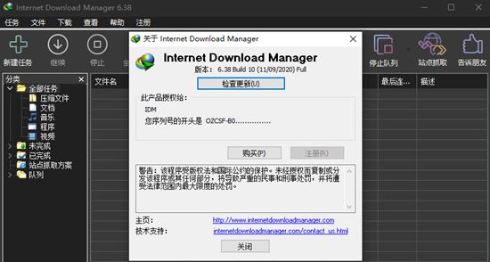 Internet Download Manager图片