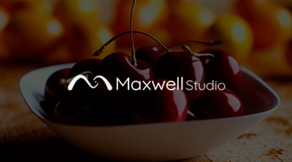 Maxwell Studio软件图片2