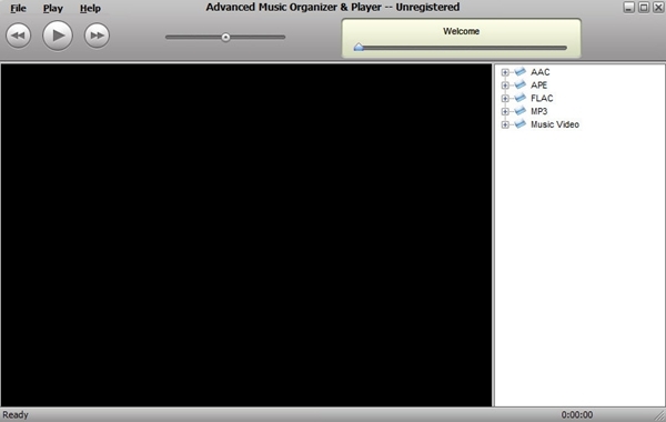 Advanced Music Organizer软件图片1