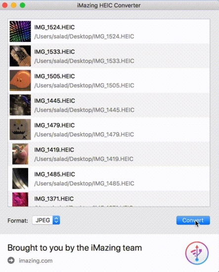 imazing heic converter转换器|iMazing HEIC Convert 免费版v1.0.9下载插图