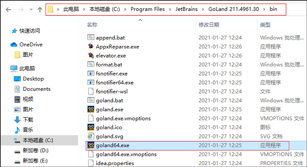 JetBrains GoLand 2021图片6