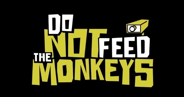 不要喂食猴子游戏图片3