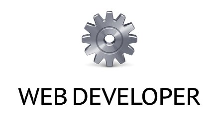 Web Developer图片1