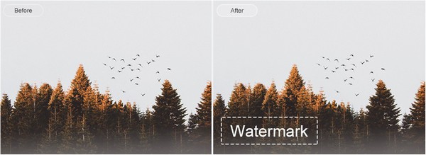 EasePaint Watermark Expert软件图片5
