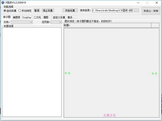 P歪皮图片1