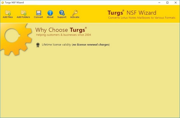 Turgs NES Wizard图片