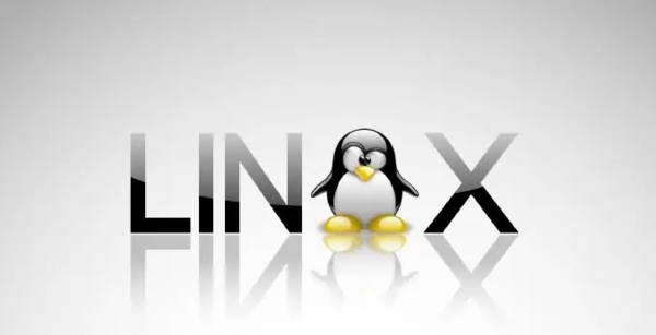 数硕linux系统图片