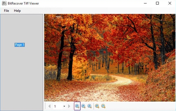 BitRecover Tiff Viewer软件图片2