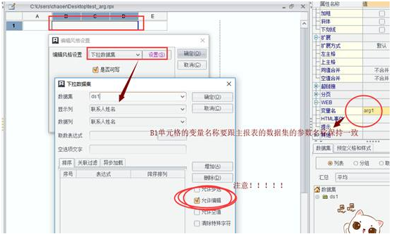 润乾报表图片17