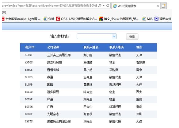 润乾报表图片18