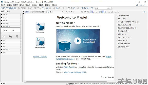 Maplesoft Maple2022图片1