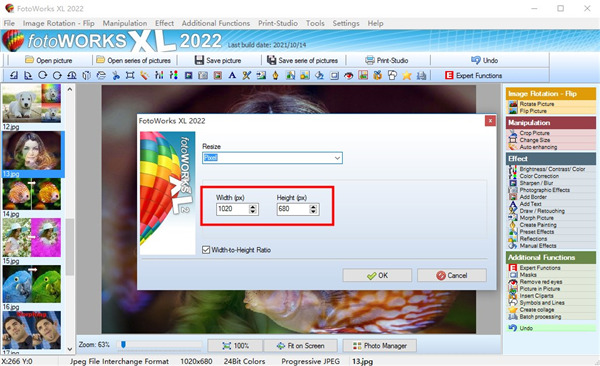 FotoWorks XL 2022图片11