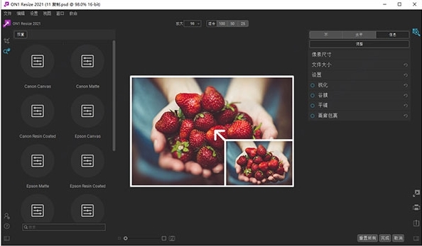 ON1 Resize 2021图片10
