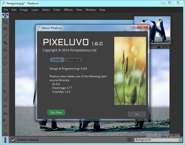 Pixeluvo图片1