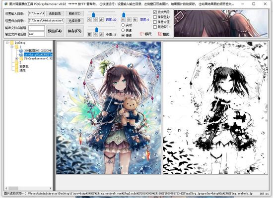 PicGrayRemover单文件版图片