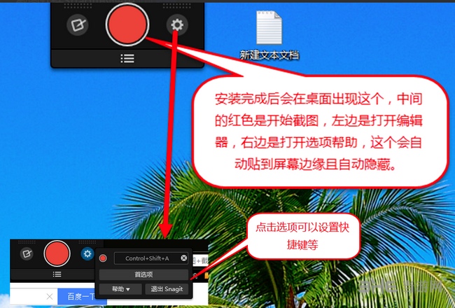 Snagit图片2