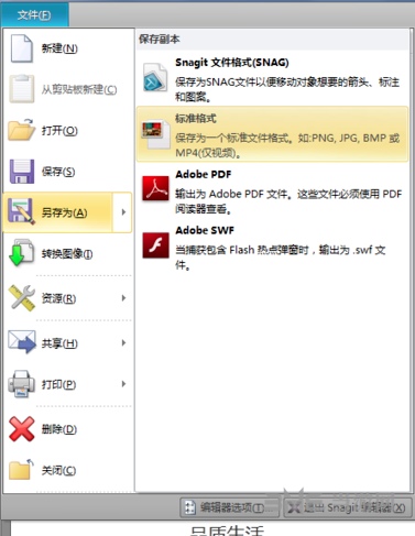 Snagit图片14