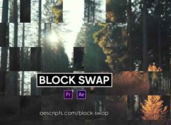 Block Swap图片