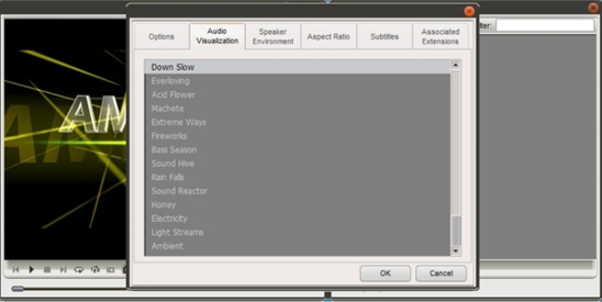 Soft4Boost AMPlayer (媒体播放器)官方版v5.2.3.9下载插图3